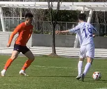 关于山东泰山发布备战花絮，赛前绝杀压哨，亚冠任务艰巨，高层口径保持一致的信息-多宝国际